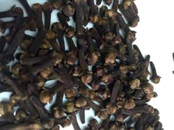 ZANZIBAR CLOVES-PREMIUM QUALITY ZANZIBAR CLOVES-PREMIUM QUALITY